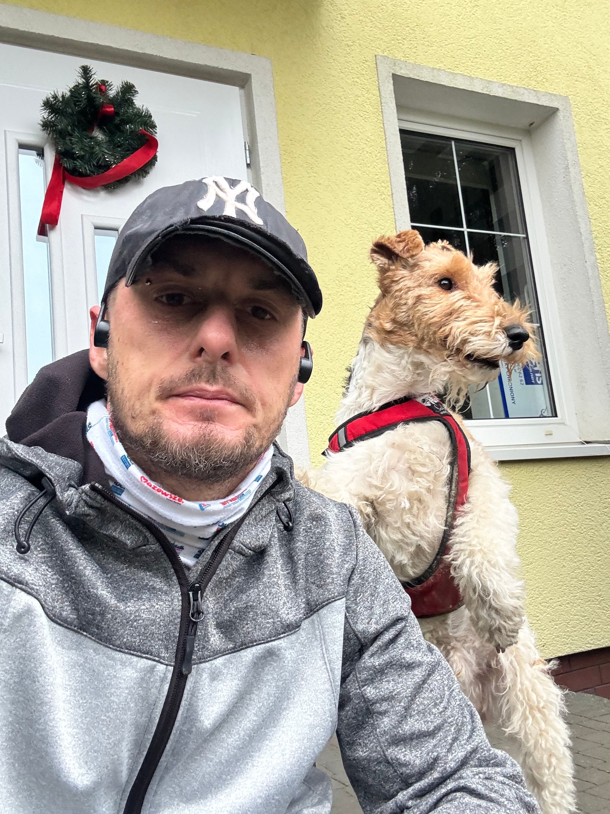 Wire Fox Terrier z swoim panem po bieganiu