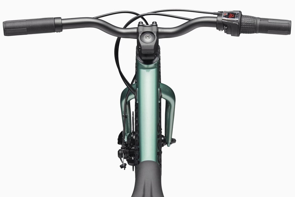 Cannondale Rower Dziecięcy Trail Plus 20 Calí Pro