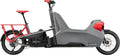 Cannondale Rower Elektryczny Cargo Wonderwagen Neo 2 Szary