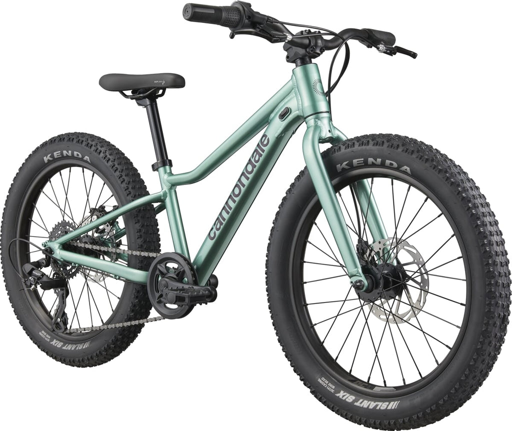 Cannondale Rower Dziecięcy Trail Plus 20 Calí Pro