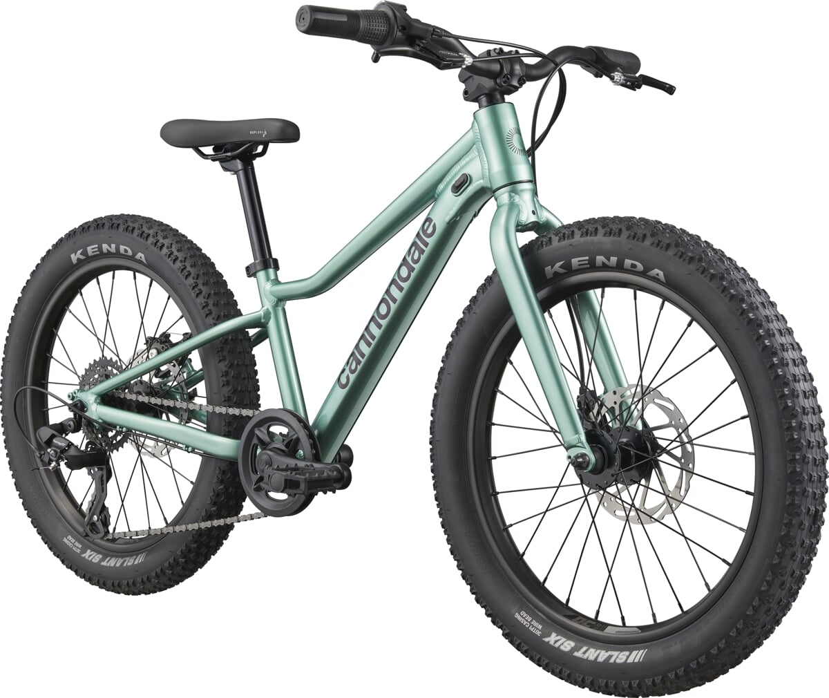 Cannondale Rower Dziecięcy Trail Plus 20 Calí Pro