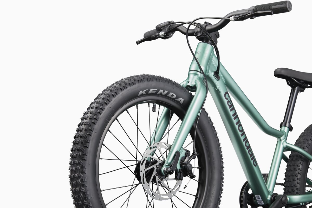 Cannondale Rower Dziecięcy Trail Plus 20 Calí Pro