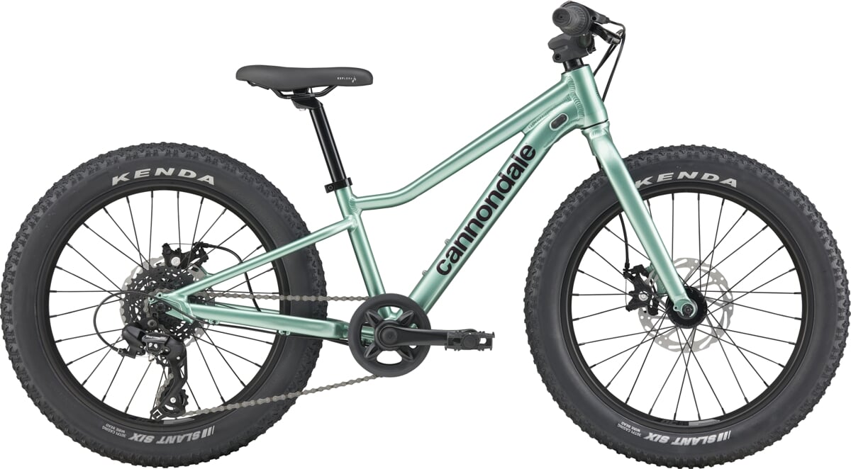 Cannondale Rower Dziecięcy Trail Plus 20 Calí Pro