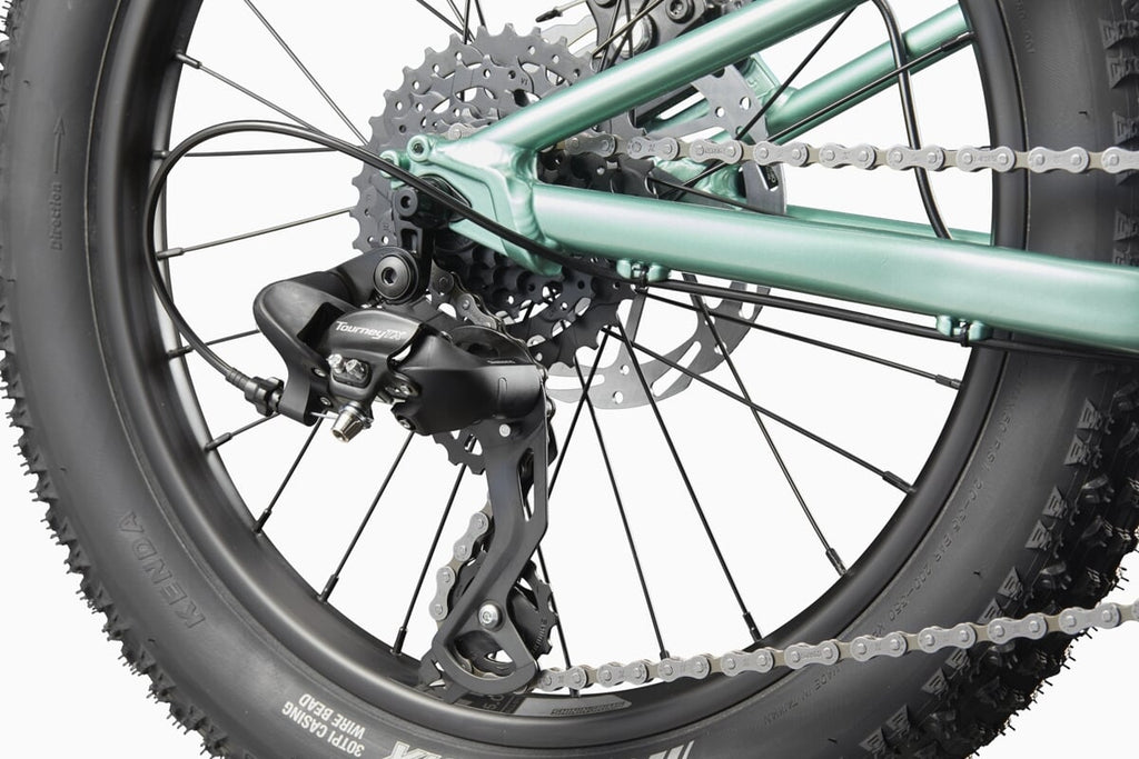 Cannondale Rower Dziecięcy Trail Plus 20 Calí Pro
