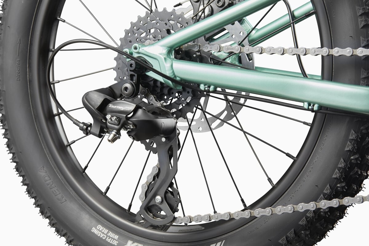 Cannondale Rower Dziecięcy Trail Plus 20 Calí Pro