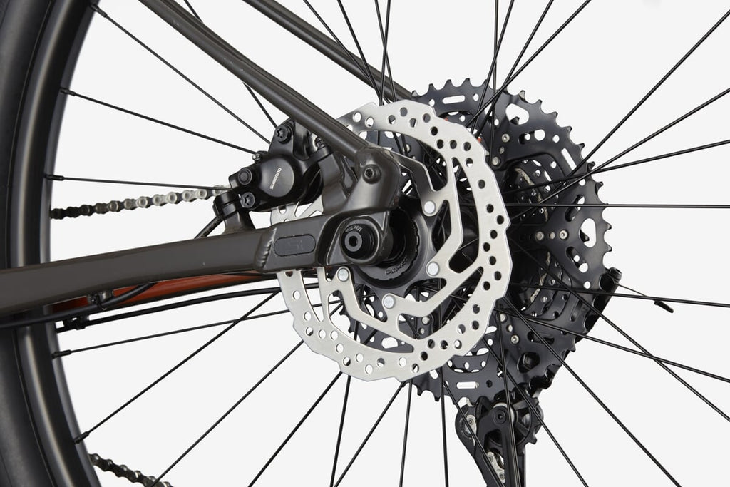Cannondale Rower Górski Trail SL 4 29 Pro Rozmiar L