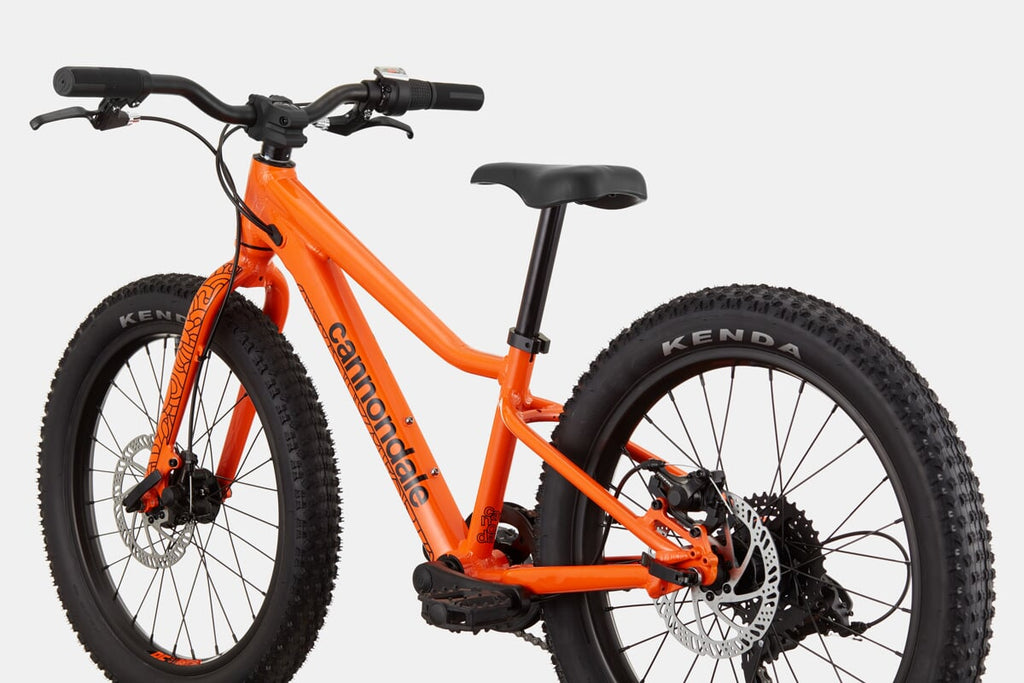 Cannondale Rower Dziecięcy Kids Trail Plus 20 Calowy
