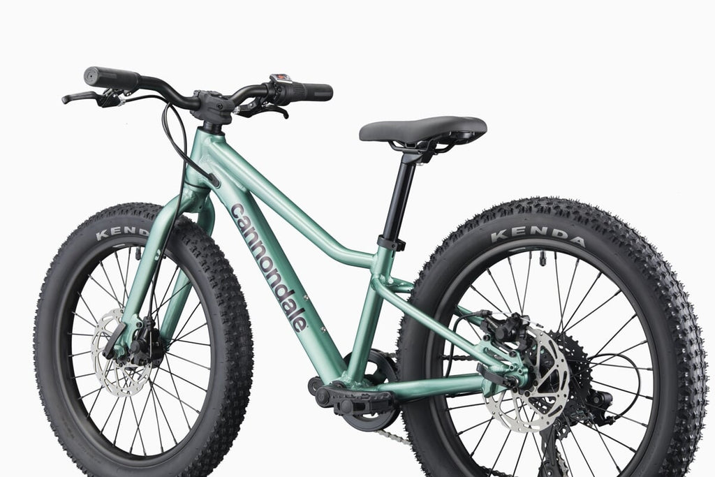 Cannondale Rower Dziecięcy Trail Plus 20 Calí Pro