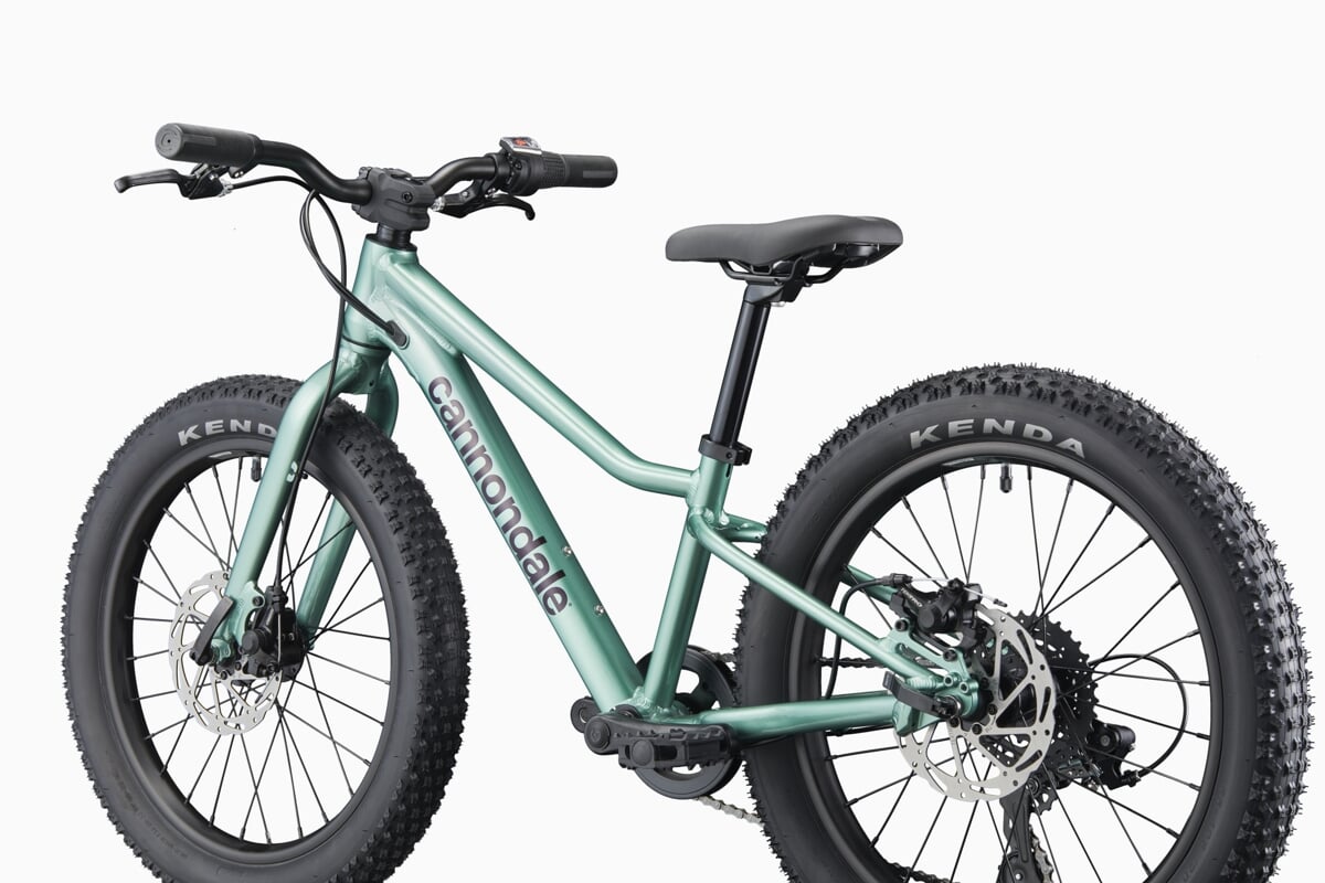 Cannondale Rower Dziecięcy Trail Plus 20 Calí Pro